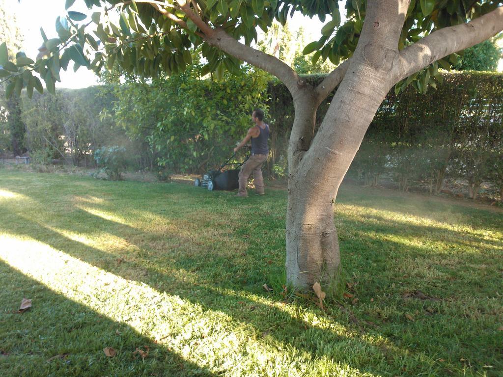Quinta Da Moura Casa-De-Campo Vendégház Tavira Kültér fotó