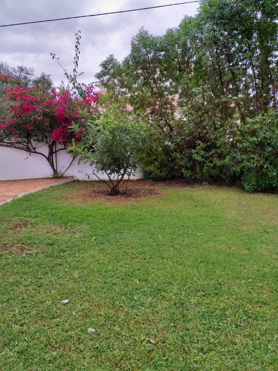 Quinta Da Moura Casa-De-Campo Vendégház Tavira Kültér fotó