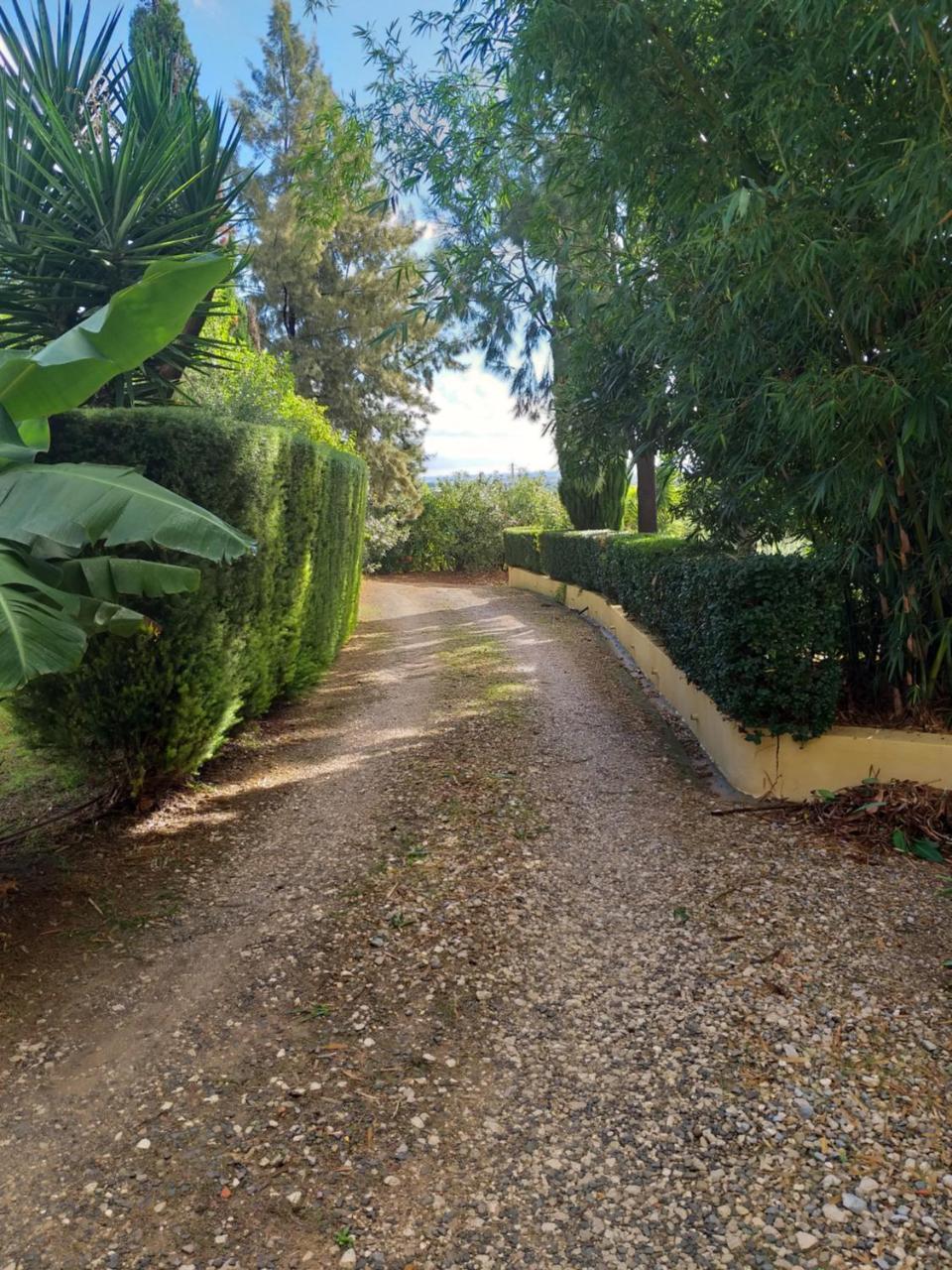 Quinta Da Moura Casa-De-Campo Vendégház Tavira Kültér fotó