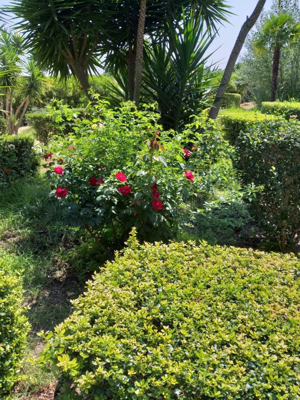 Quinta Da Moura Casa-De-Campo Vendégház Tavira Kültér fotó