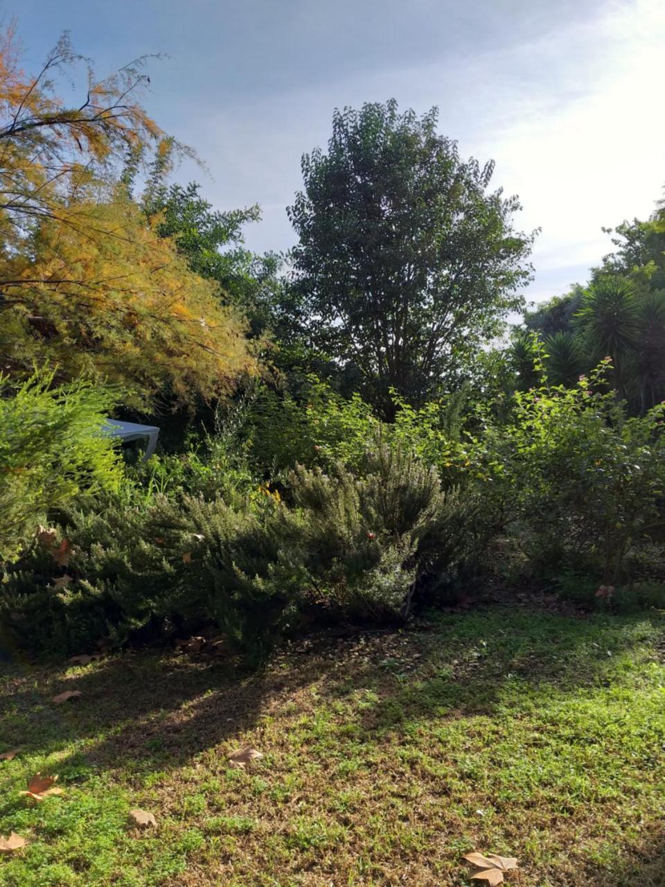 Quinta Da Moura Casa-De-Campo Vendégház Tavira Kültér fotó